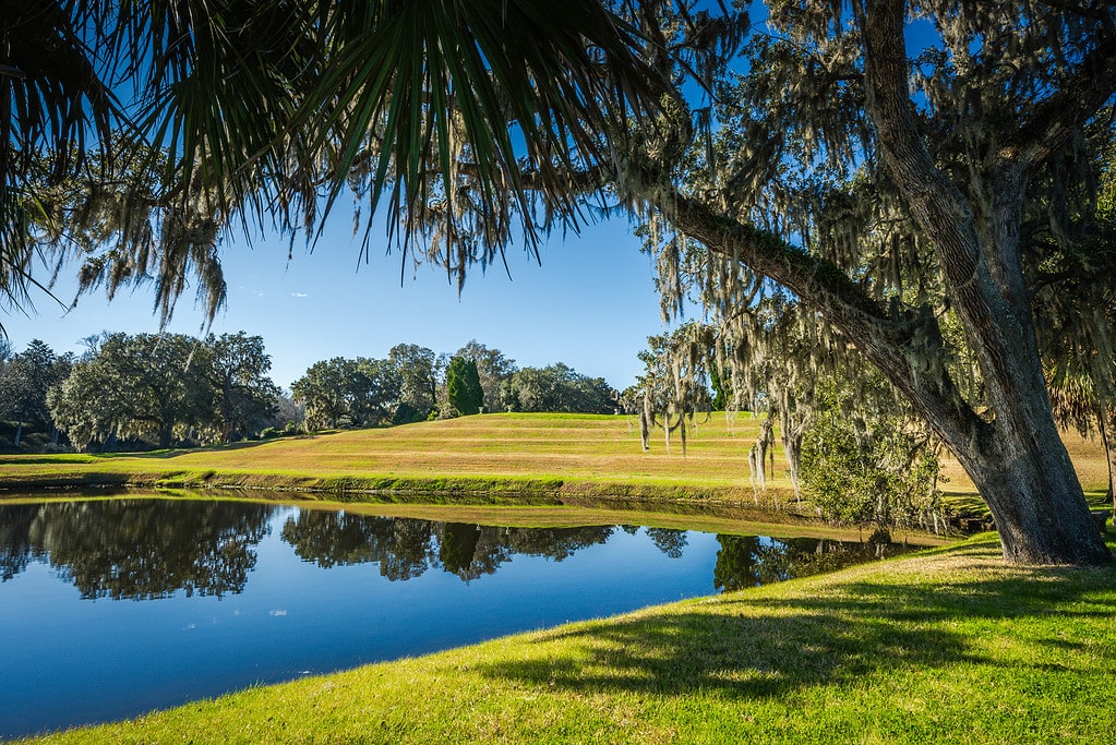 Middleton Place garden