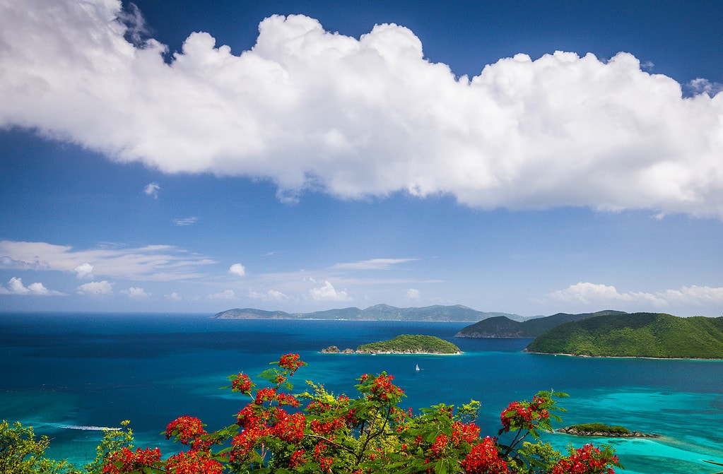 Ocean view in St. John