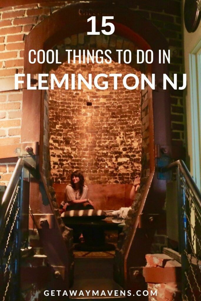 Cool things to do in Flemington NJ pin