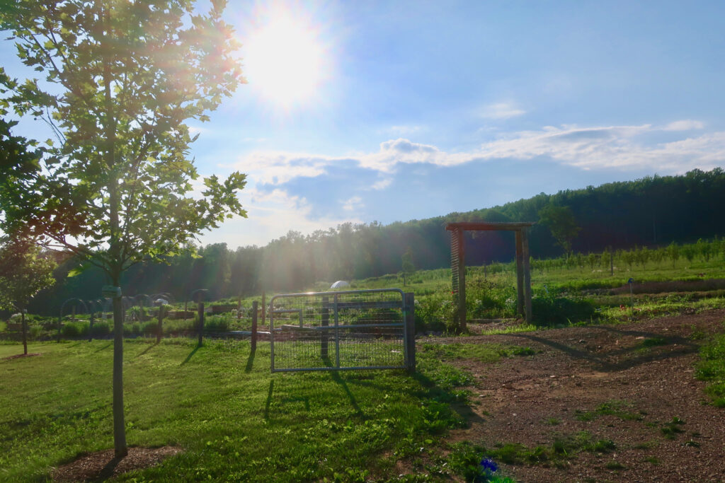 Hunterdon County 579 Trail Ironbound Farm NJ