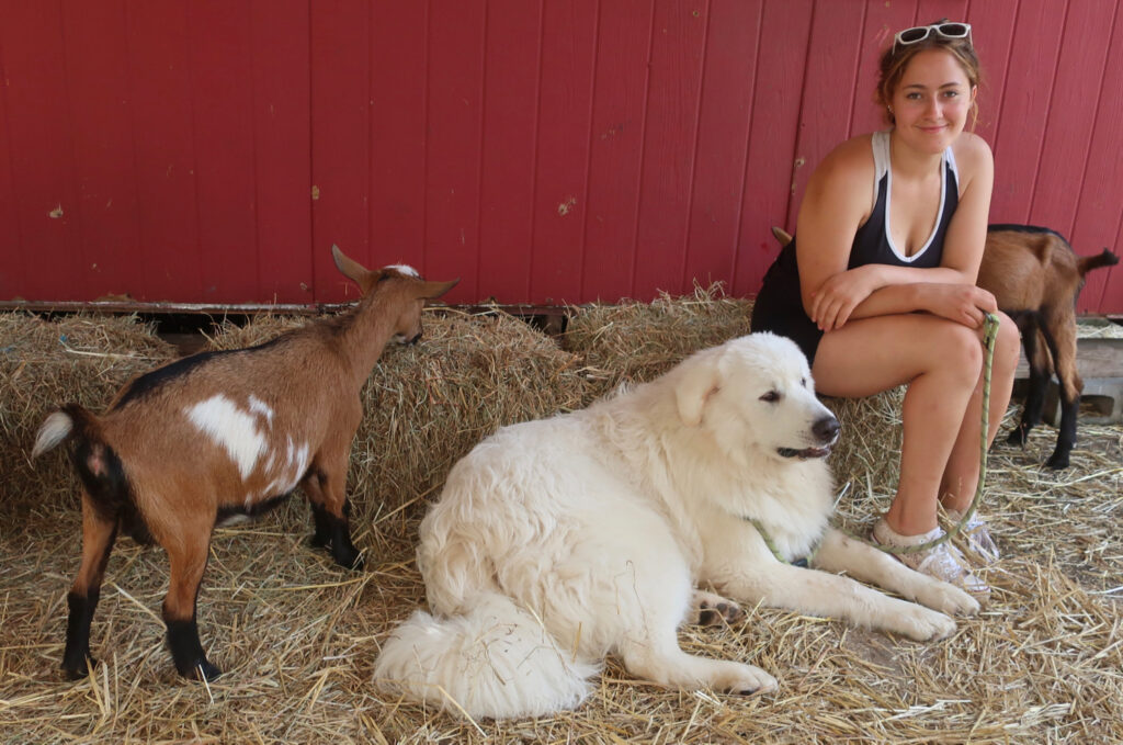 Joy Leone at The Bubbly Goat, Stockton NJ