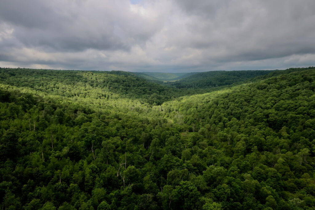 View of Allegheny Plateau from Kinzua Bridge Skywalk Mt Jewett PA