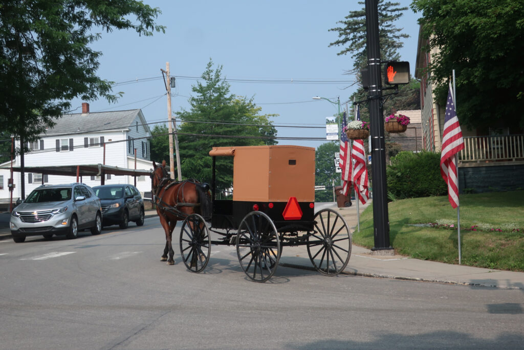 Amish buggy downtown New Wilmington PA
