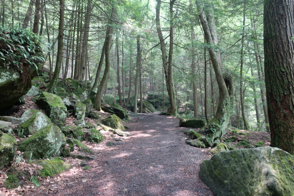 Rock features on hiking trail McConnells Mill SP PA