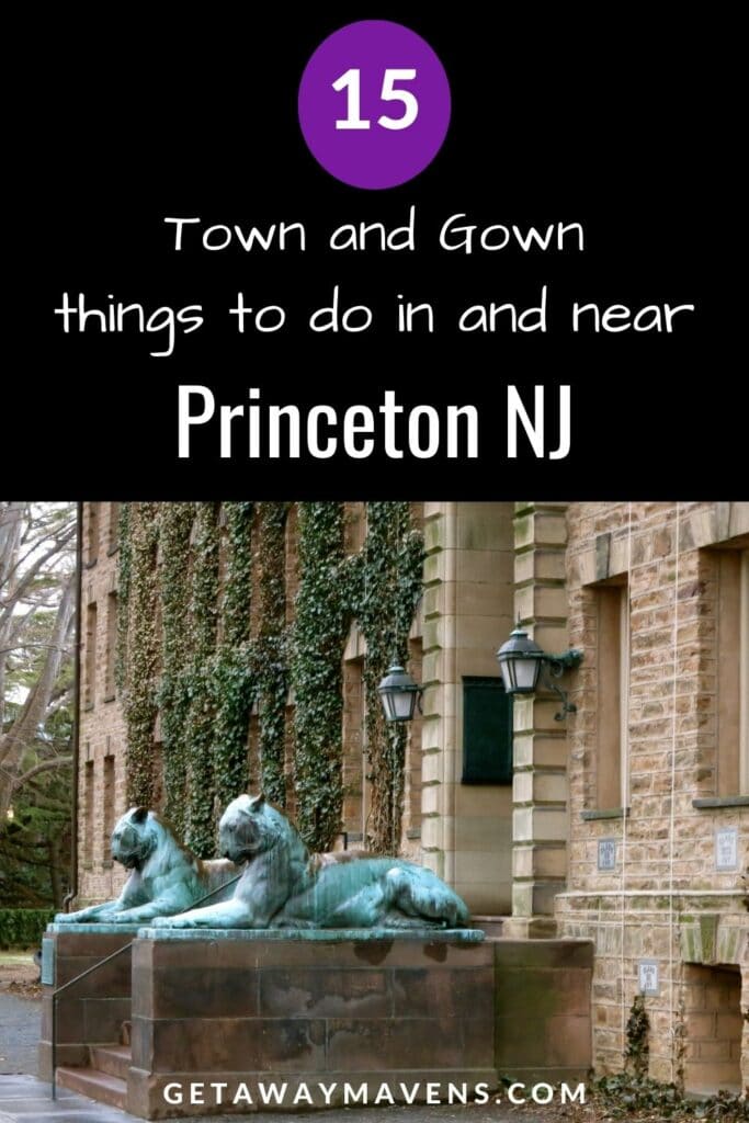 Things to do in Princeton NJ pin