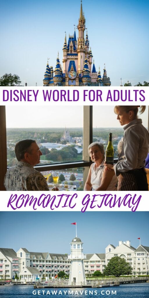 Disney World for Adults pin