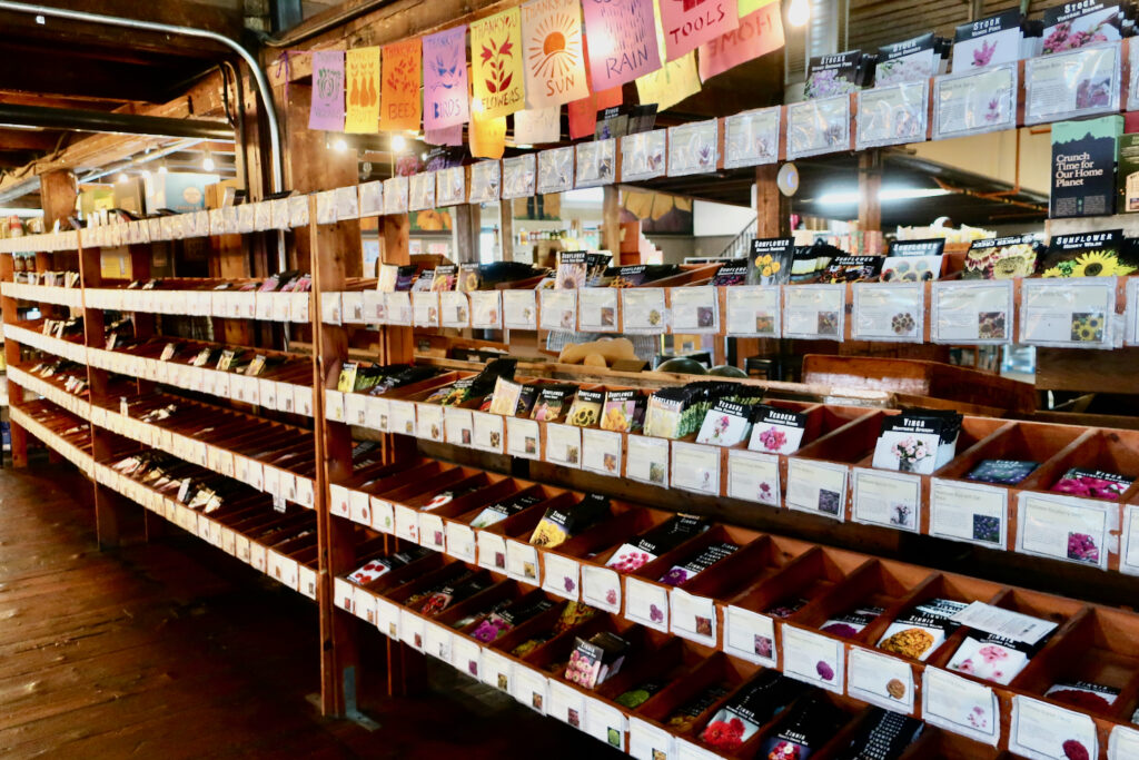Racks of packaged seeds at Heirloom Market Wethersfield CT