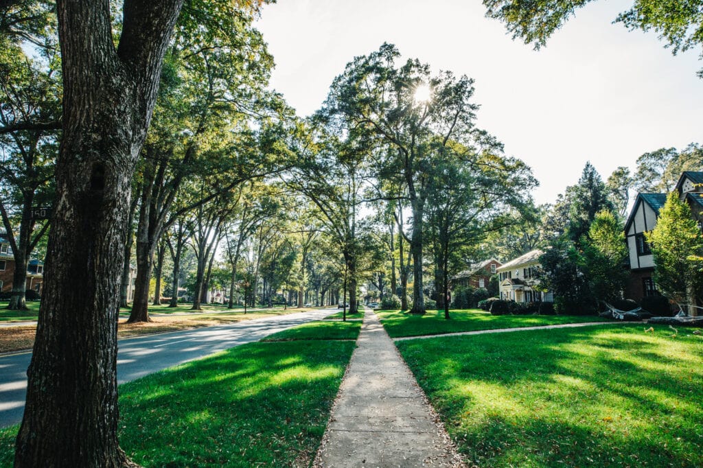 Myers Park Neighborhood