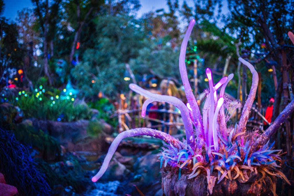 Pandora garden at Disney World