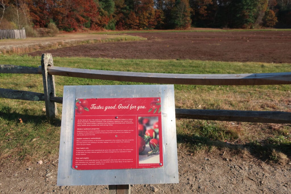 Ocean Spray Cranberry Bog at Patriot Place 