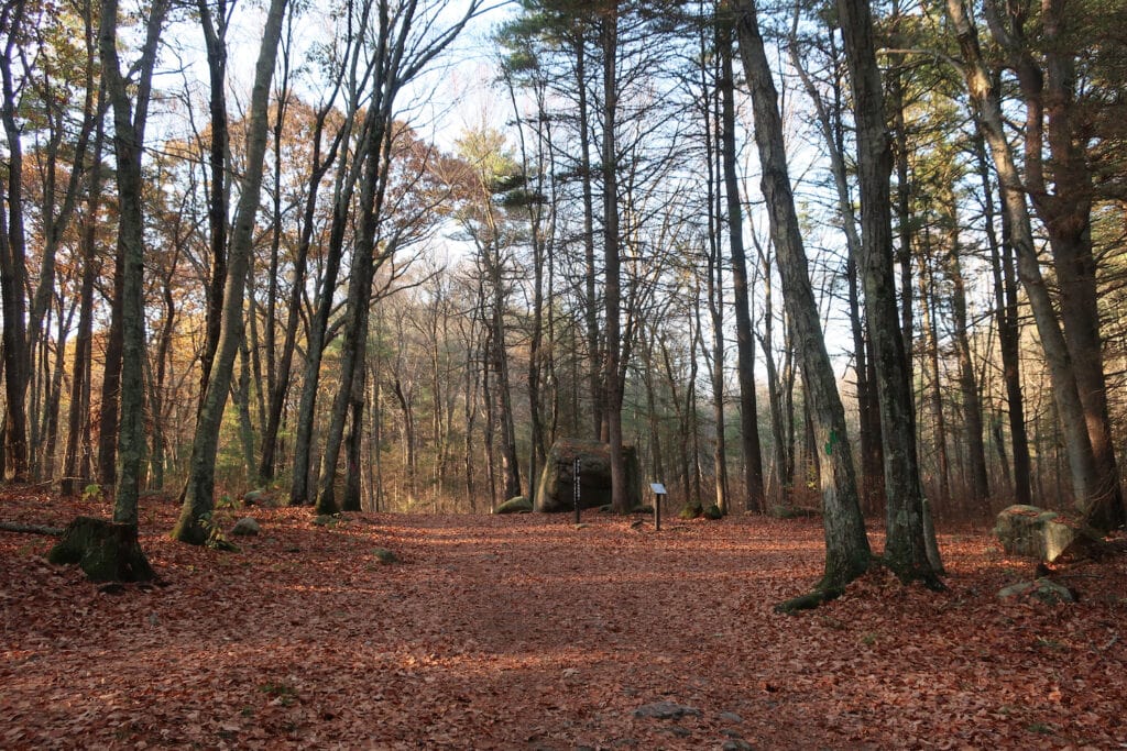 F. Gilbert Hills State Forest Foxboro MA