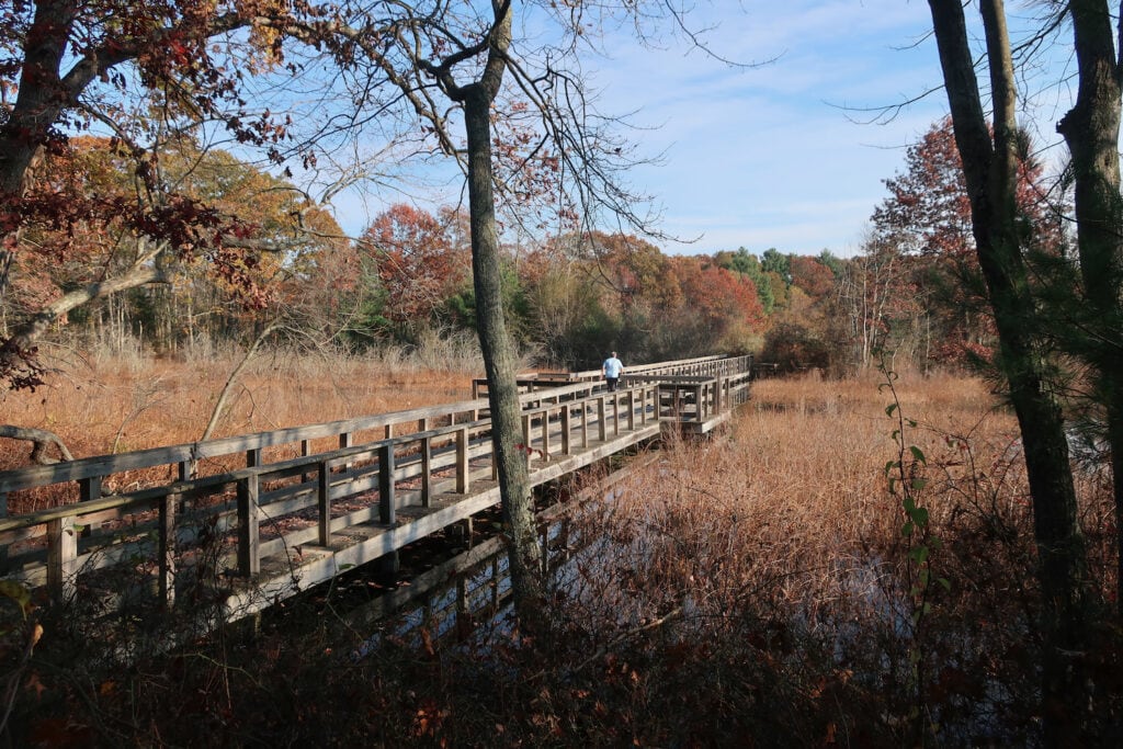 Ocean Spray Cranberry Bog boardwalk at Patriot Place Foxboro MA