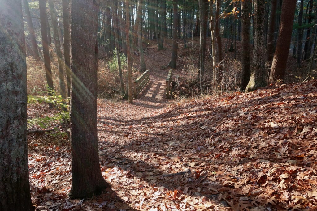 Patriot Place Nature Trail near Ocean Spray Cranberry Bog Foxboro MA