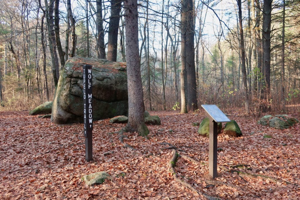 Crossroads at F. Gilbert Hills State Forest Foxboro MA