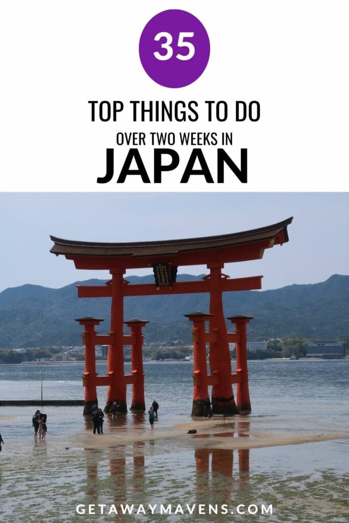 35 Things to do in Japan pin
