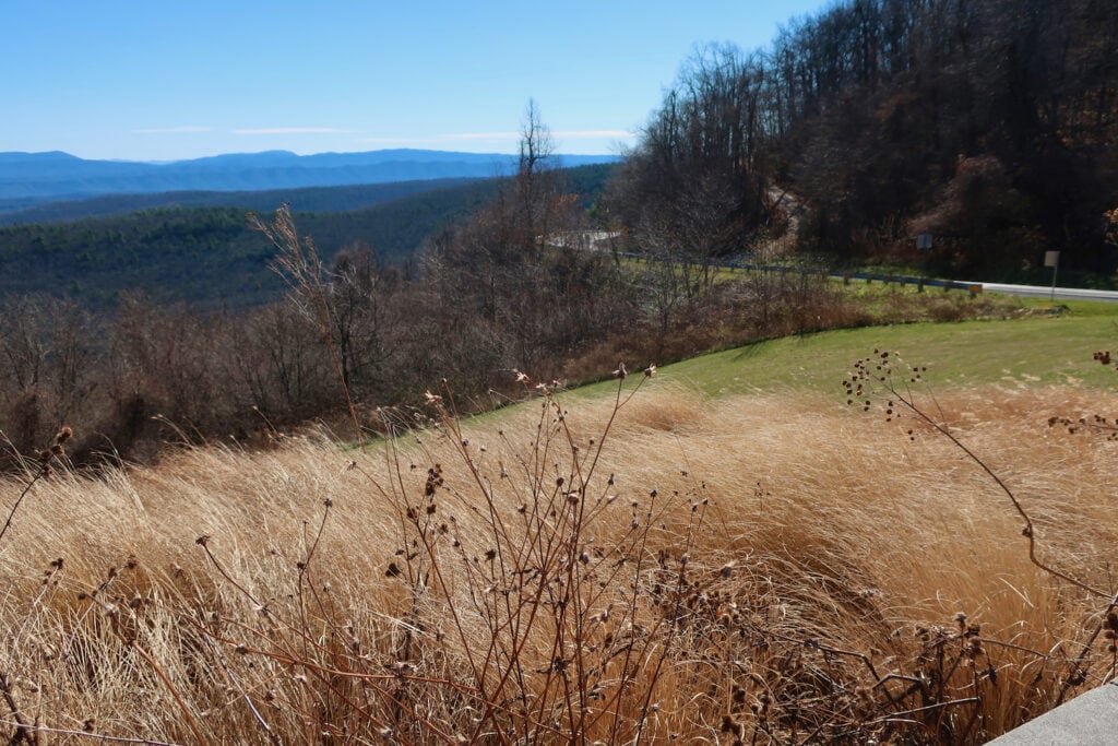 Mountain Road to Dan Ingalls Overlook on Warm Springs Mountain VA