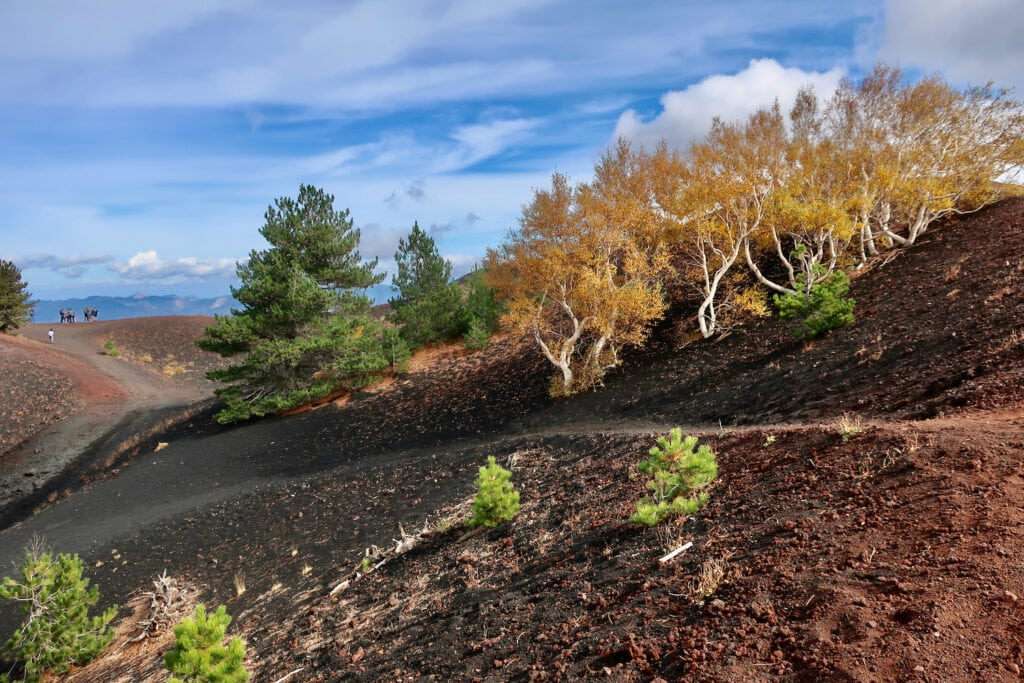 Mt. Etna Crater hike - an otherworldly landscape of ash, basalt, and birch trees.