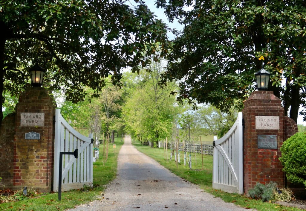 Entrance gate to Tacaro Estate, Tracys Landing MD