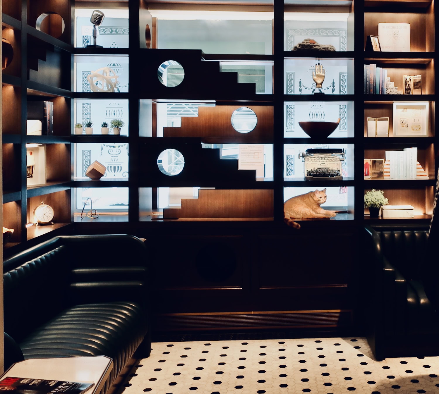 Hamlet-Cat-Algonquin-Hotel-Bookshelves Hamlet the Cat at Algonquin Hotel NYC