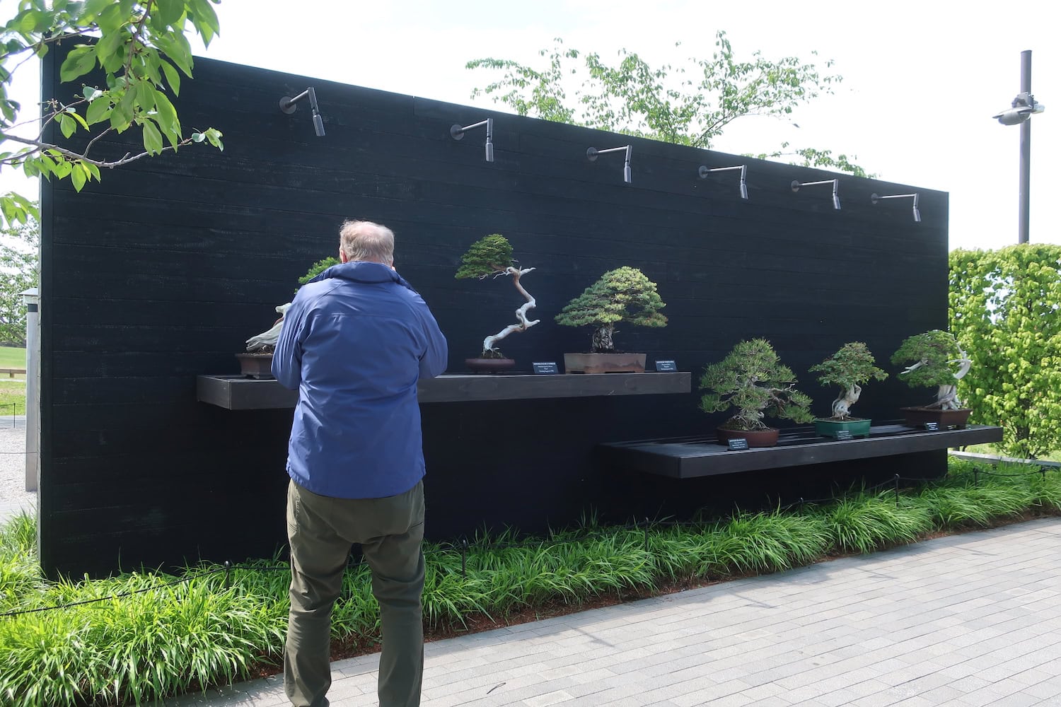 Bonsai Courtyard at Longwood Gardens, Brandywine Valley PA
