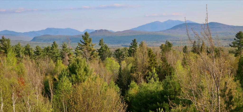 Mountain view from the Milan Hills State Park Fire Town