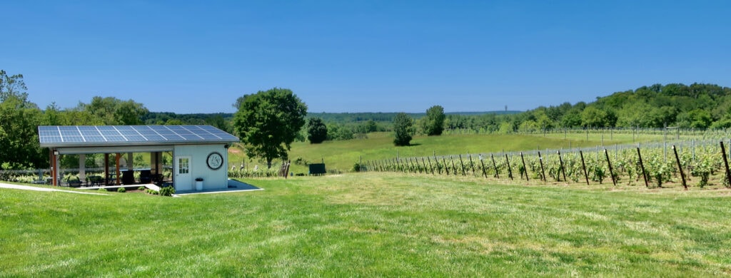 Pastoral views from Windridge Vineyards Montgomery County MD