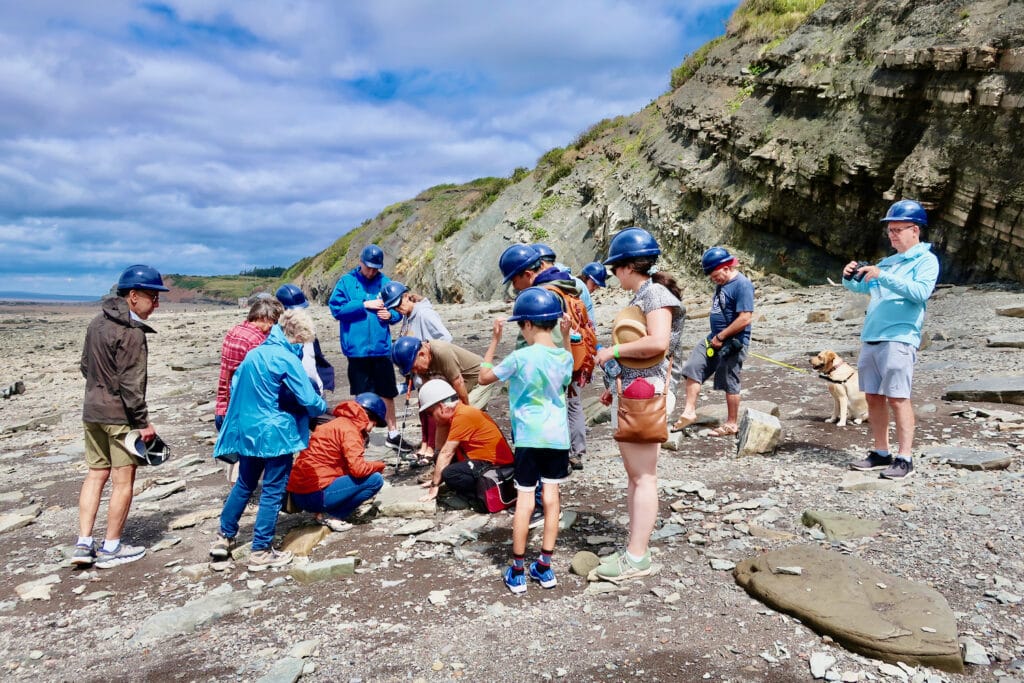 Joggins Fossil Cliffs Guided Tour Nova Scotia NS