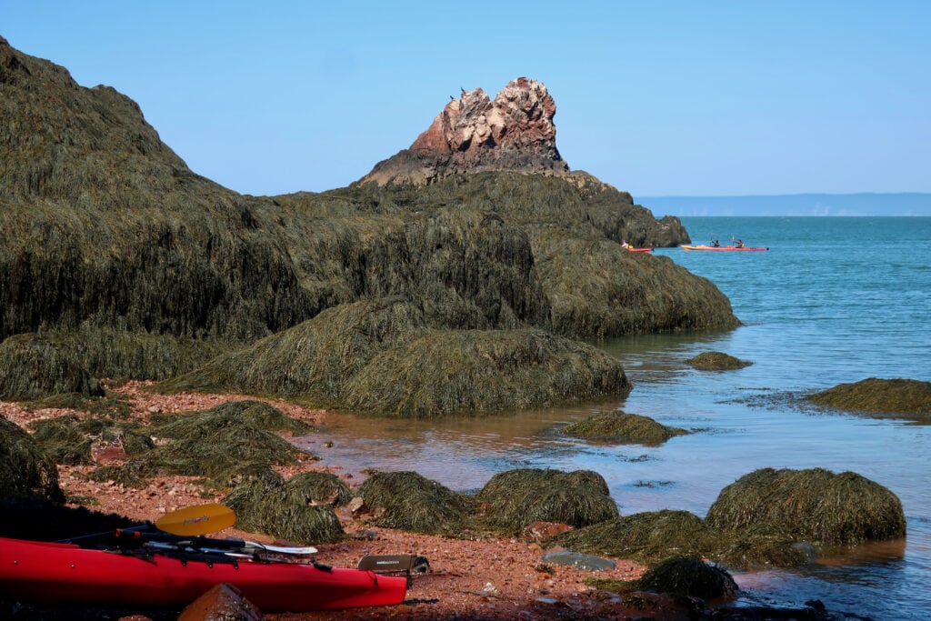 NovaShores Adventures Kayak in Bay of Fundy NS