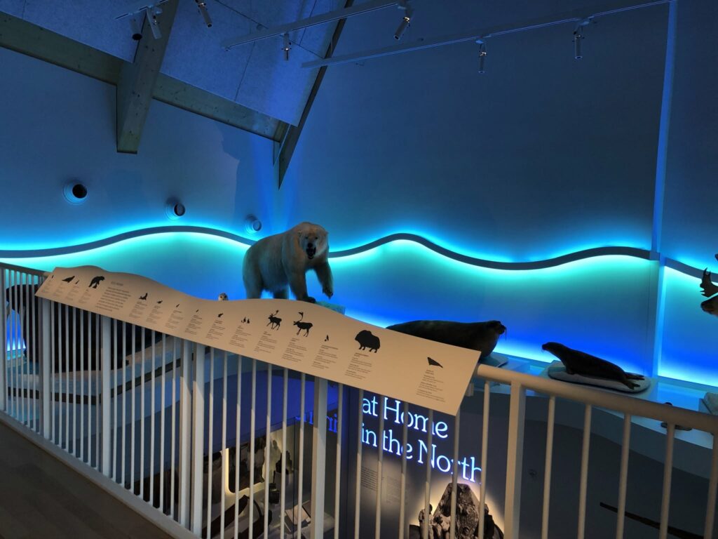 Exibit at Arctic Museum on the campus of Bowdoin College