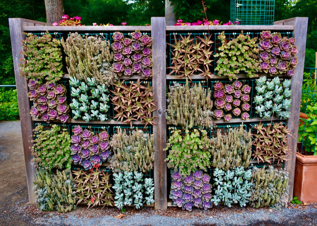 Plant art at Coastal Maine Botanical Gardens Boothbay
