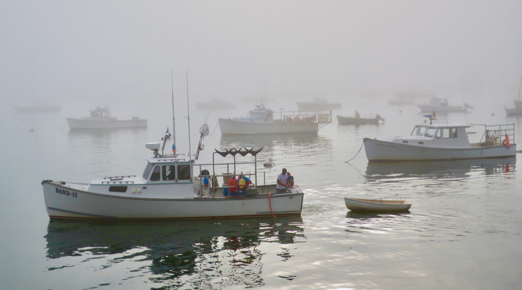 Foggy Cove Mt Desert Island Maine