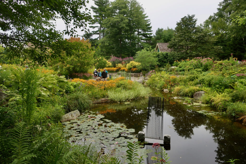 Plantings around a pond at Maine Botanical Gardens Boothbay